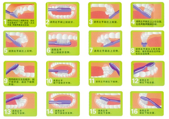 宝宝正确的刷牙方式