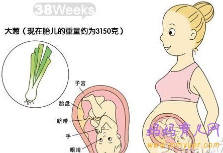 怀孕十个月胎儿图 孕10个月吃什么好 要注意什么