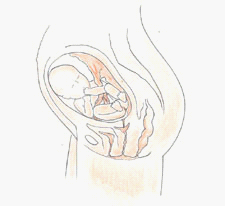 四维彩超&mdash;南京解放军454医院妇产科