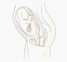 四维彩超&mdash;南京解放军454医院妇产科