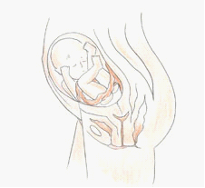 四维彩超&mdash;南京解放军454医院妇产科