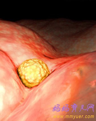 四维彩超图片 1-40周胎儿发育过程图 太震憾了!