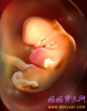 四维彩超图片 1-40周胎儿发育过程图 太震憾了!