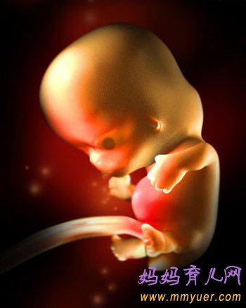 四维彩超图片 1-40周胎儿发育过程图 太震憾了!