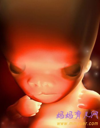 四维彩超图片 1-40周胎儿发育过程图 太震憾了!