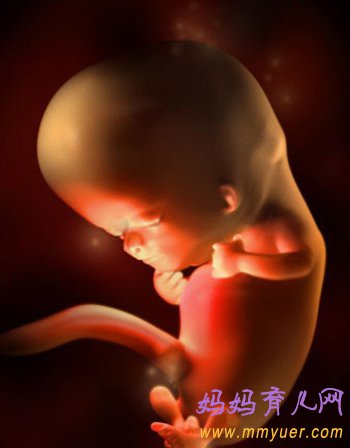 四维彩超图片 1-40周胎儿发育过程图 太震憾了!