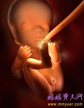 四维彩超图片 1-40周胎儿发育过程图 太震憾了!