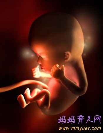 四维彩超图片 1-40周胎儿发育过程图 太震憾了!