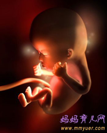 四维彩超图片 1-40周胎儿发育过程图 太震憾了!