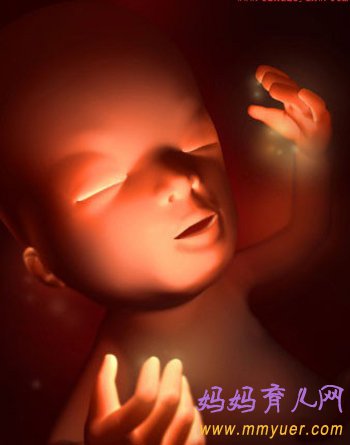 四维彩超图片 1-40周胎儿发育过程图 太震憾了!