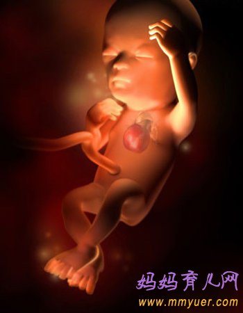 四维彩超图片 1-40周胎儿发育过程图 太震憾了!