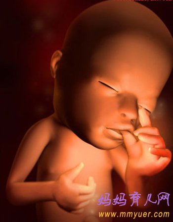 四维彩超图片 1-40周胎儿发育过程图 太震憾了!