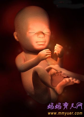 四维彩超图片 1-40周胎儿发育过程图 太震憾了!