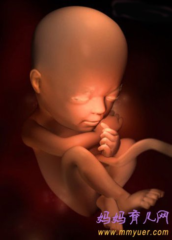 四维彩超图片 1-40周胎儿发育过程图 太震憾了!