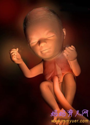 四维彩超图片 1-40周胎儿发育过程图 太震憾了!