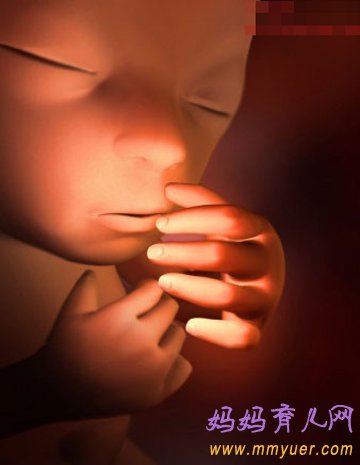 四维彩超图片 1-40周胎儿发育过程图 太震憾了!