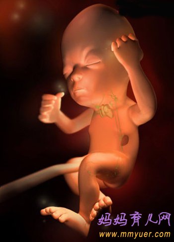 四维彩超图片 1-40周胎儿发育过程图 太震憾了!