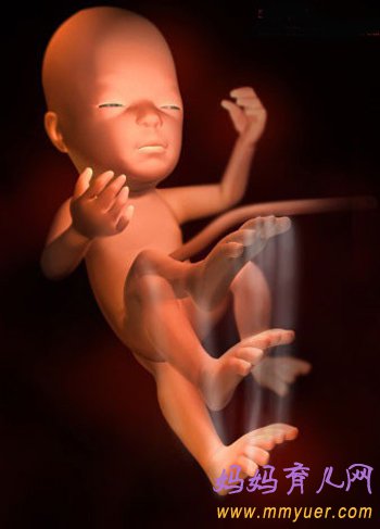 四维彩超图片 1-40周胎儿发育过程图 太震憾了!