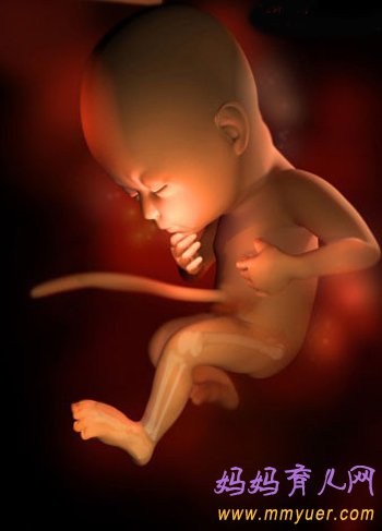 四维彩超图片 1-40周胎儿发育过程图 太震憾了!