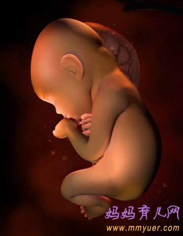 四维彩超图片 1-40周胎儿发育过程图 太震憾了!