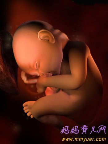 四维彩超图片 1-40周胎儿发育过程图 太震憾了!