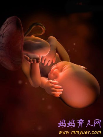 四维彩超图片 1-40周胎儿发育过程图 太震憾了!