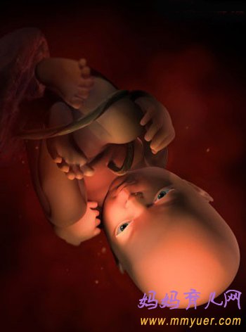 四维彩超图片 1-40周胎儿发育过程图 太震憾了!