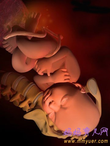 四维彩超图片 1-40周胎儿发育过程图 太震憾了!