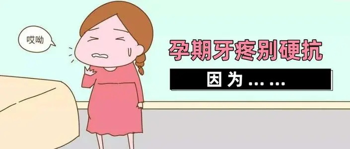 孕妇牙疼怎么止疼?教你些招牙疼立刻止疼