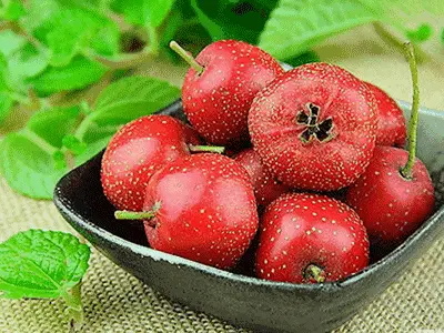 孕妇不能吃什么水果,孕妇禁吃十大水果