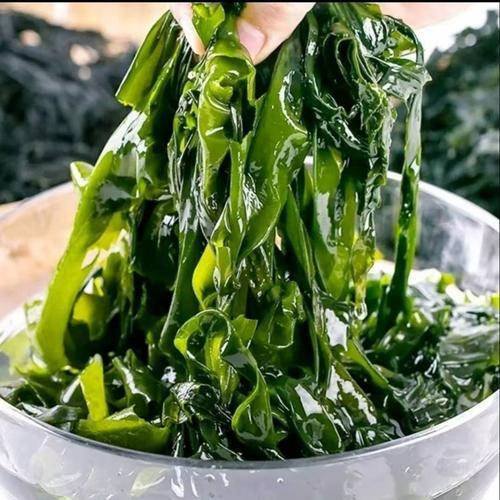 裙带菜的功效与作用及禁忌,裙带菜图片是怎样的