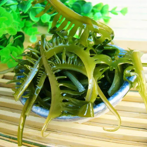 裙带菜的功效与作用及禁忌,裙带菜图片是怎样的