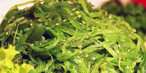 裙带菜的功效与作用及禁忌,裙带菜图片是怎样的