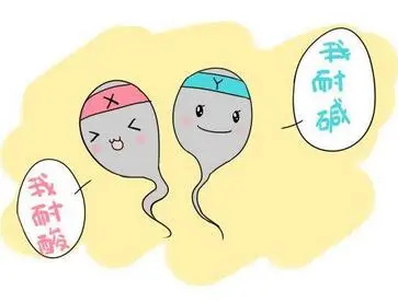 生男孩的秘方和偏方有哪些?