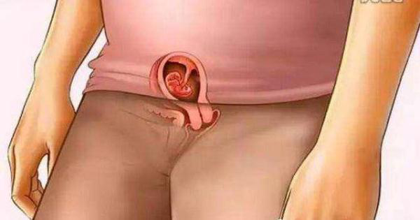 怀胎十月的过程,十月怀胎全过程大揭秘