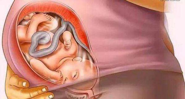 怀胎十月的过程,十月怀胎全过程大揭秘