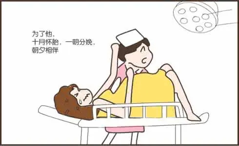 怀胎十月的过程,十月怀胎全过程大揭秘