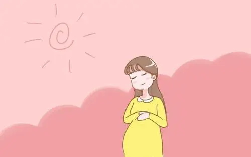 怀胎十月的过程,十月怀胎全过程大揭秘