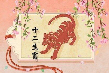 属虎几月出生最有福气 这五个月很不错