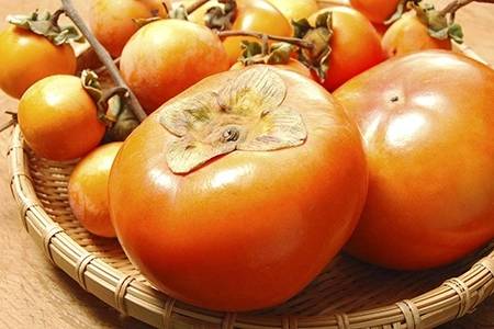 孕妇吃柿子的好处,孕妇吃柿子的注意事项