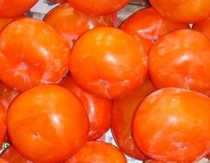 孕妇吃柿子的好处,孕妇吃柿子的注意事项