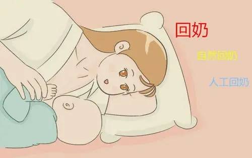 自然回奶一般需要几天 自然回奶的正确方法有哪些?