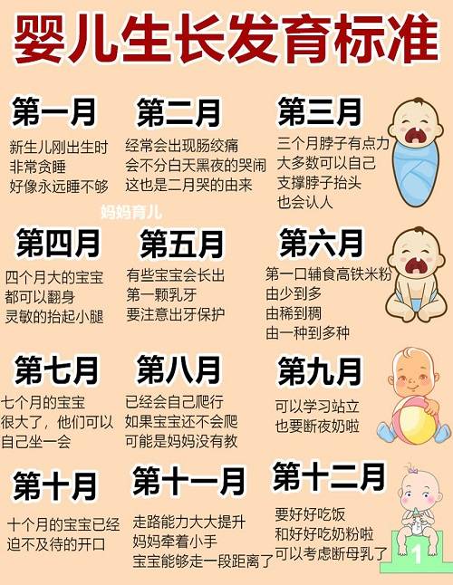 宝宝12个月顺口溜,婴儿1到12月发育口诀