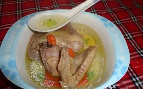 为什么鸽子汤容易回奶 鸽子汤真的会回奶吗?