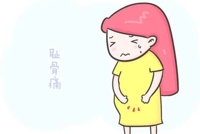 孕妇耻骨痛如何缓解?四个妙招有效缓解孕期耻骨痛