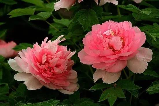 那个时辰出生容易有钱?以下6个出生时辰的人命中富贵