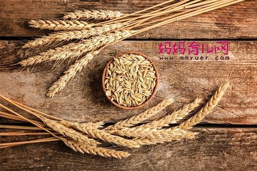 喝麦芽水几天可以回奶,回奶麦芽水的煮法