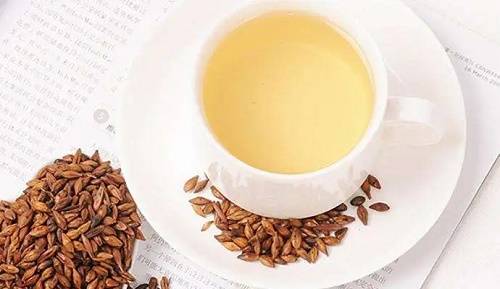 喝麦芽水几天可以回奶,回奶麦芽水的煮法