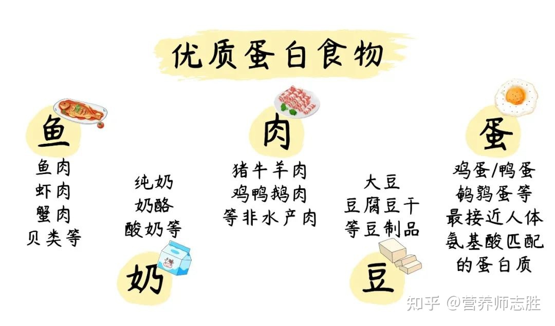 怀孕需要注意什么饮食_怀孕二胎饮食注意什么_怀孕胆囊疼饮食注意