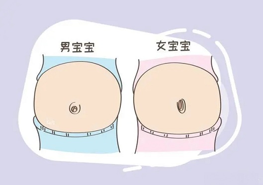 清宫图里的受孕月份是农历还是新历?